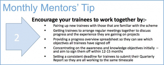 Mentors tip 2