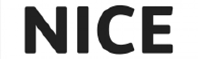NICE logo short3